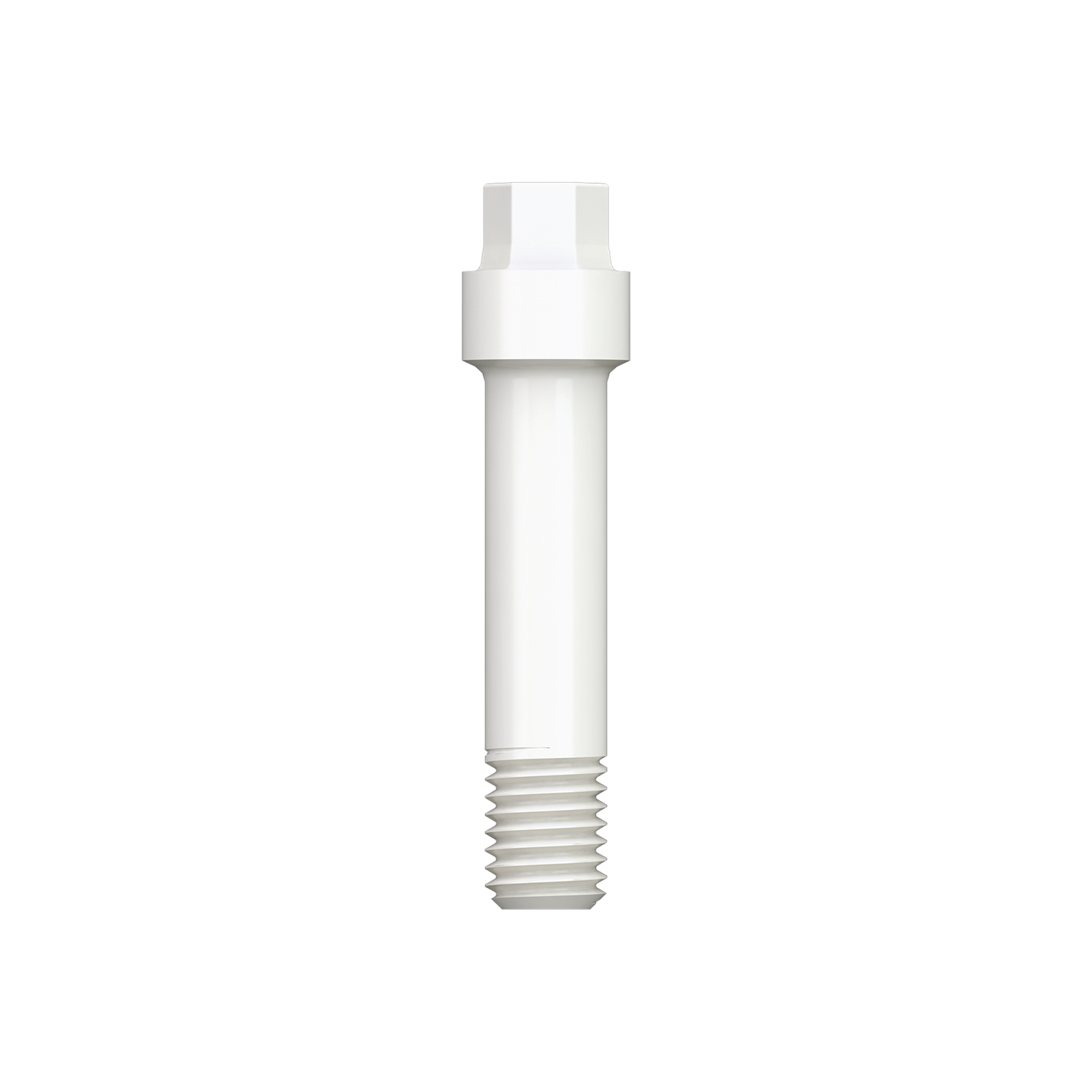 Abutment Connection Screws